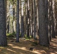 Sugarpine Walk - Darwin Tourism