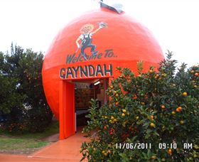 Gayndahs Big Orange - Darwin Tourism 0