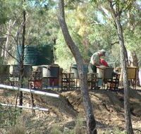 7 Oaks Sapphire Fossicking - Darwin Tourism