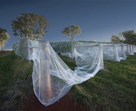 Toppers Mountain Wines - Darwin Tourism 0