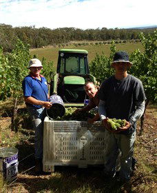 Toppers Mountain Wines - Darwin Tourism 2
