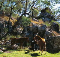 Coomba Falls - Darwin Tourism