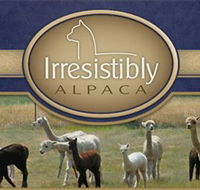 Marchmont Park Alpacas - Darwin Tourism