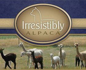 Marchmont Park Alpacas - Darwin Tourism 0