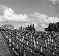 Willow Creek Vineyard - Darwin Tourism