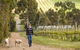 Willow Creek Vineyard - thumb 1