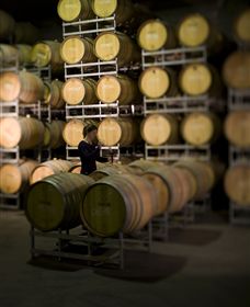 Willow Creek Vineyard - Darwin Tourism 2