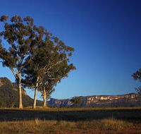 Capertee Valley Bird Trail - Darwin Tourism
