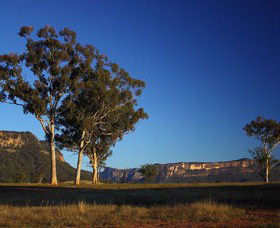 Capertee Valley Bird Trail - Darwin Tourism 0