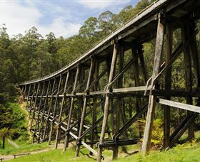 Noojee VIC Darwin Tourism