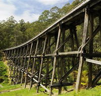 Noojee Trestle Bridge - Darwin Tourism