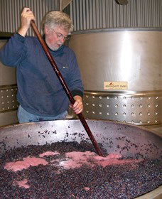 Mundoonen Winery - Darwin Tourism 0