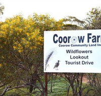Coorow Farm Wildflower Trail - Darwin Tourism