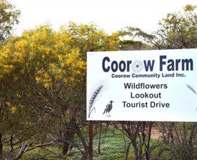 Coorow Farm Wildflower Trail - Darwin Tourism 0