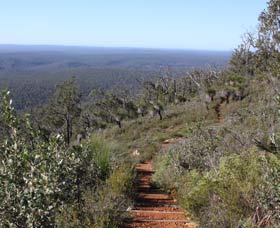 Mount Dale Walk Trail - Darwin Tourism 0