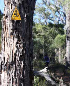 Mount Dale Walk Trail - Darwin Tourism 1