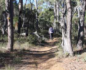 Mount Dale Walk Trail - Darwin Tourism 2