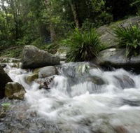 Washpool National Park - Darwin Tourism