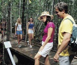 Toowoomba Water Bird Habitat - Darwin Tourism 1