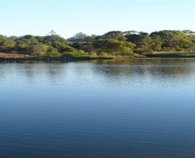 Toowoomba Water Bird Habitat - Darwin Tourism 2