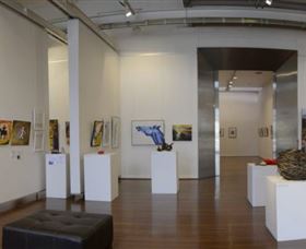 Muswellbrook Regional Arts Centre - Darwin Tourism 0