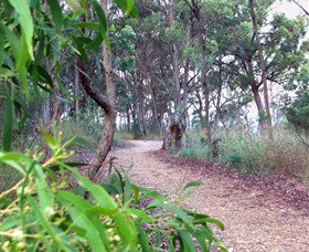 Mount Mutton Walking Trail - Darwin Tourism 0