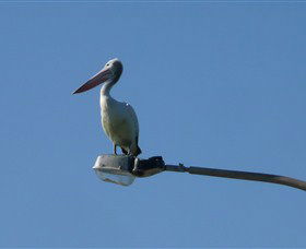 Bailey's Sydney - Tours For People Who Don't Like Tours - Darwin Tourism 3
