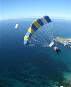 Skydive The Beach And Beyond Sydney - Wollongong - Darwin Tourism 6
