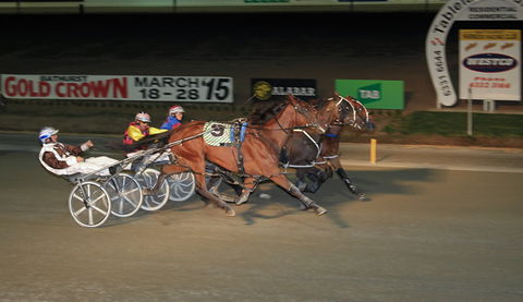 Bathurst Harness Racing Club - Darwin Tourism 3