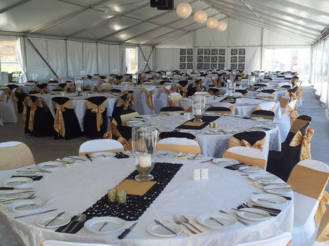 Bathurst Harness Racing Club - Darwin Tourism 5