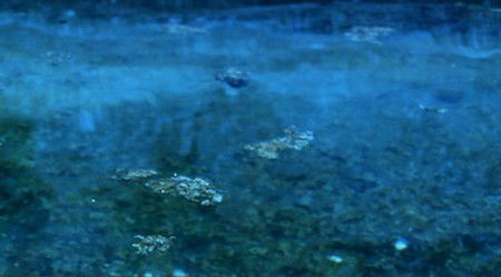 Anna Schwartz Gallery Sydney - Darwin Tourism 2