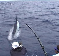 Amokura Charters - Darwin Tourism