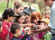 Blackbutt Reserve - Darwin Tourism 2