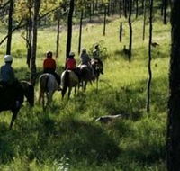 Hunter Valley Horse Riding and Adventures - Darwin Tourism