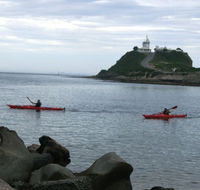 Newcastle Kayak Tours - Darwin Tourism