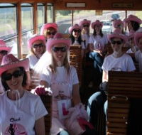 Newcastles Famous Tram - Darwin Tourism