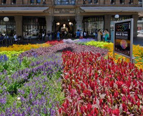 Queen Victoria Building - Darwin Tourism 1