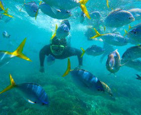 G Adventures - Darwin Tourism 0