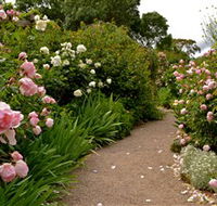 Ross Garden Tours - Darwin Tourism