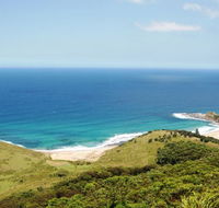 Royal National Park - Darwin Tourism