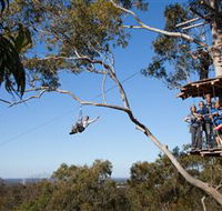 TreeTop Safari - Darwin Tourism
