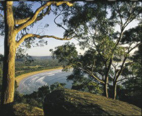 Ocean Beach Umina - Darwin Tourism 0