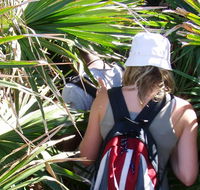 Palm Jungle loop track - Darwin Tourism