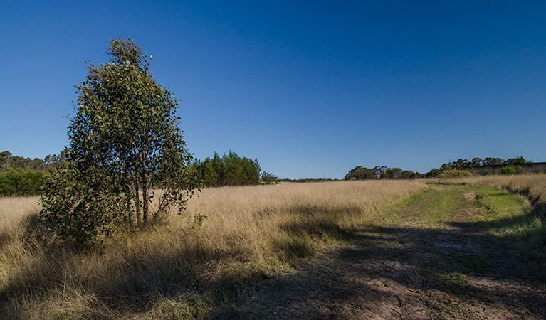 Oakville NSW Darwin Tourism