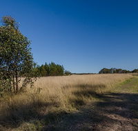 Scheyville horse riding trails - Darwin Tourism