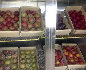 Canoelands Orchard - Darwin Tourism 1
