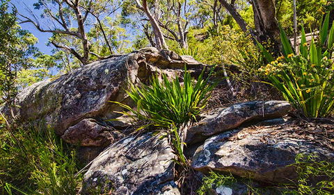 Canoelands Ridge Walking Track - Darwin Tourism 1