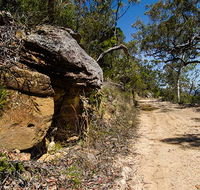 Canoelands Ridge walking track - Darwin Tourism