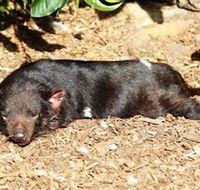 Symbio Wildlife Park - Darwin Tourism