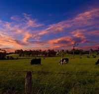 Made in Macarthur Food and Wine Tours - Darwin Tourism
